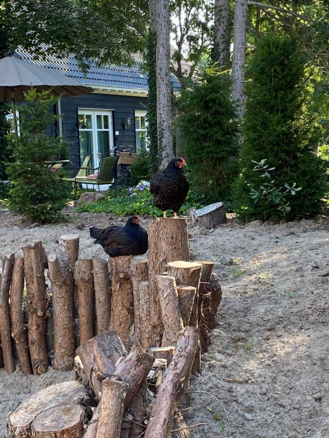 Schuringse Klasse Numansdorp Bagian luar foto